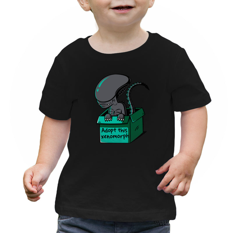 100233-collection-tee-bab-bas-