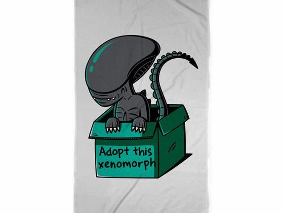 Adopt This Xenomorph