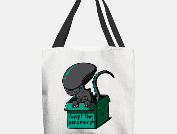 Adopt This Xenomorph