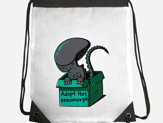Adopt This Xenomorph