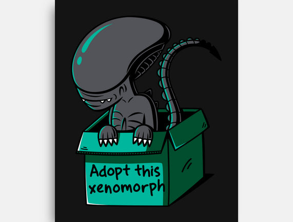 Adopt This Xenomorph