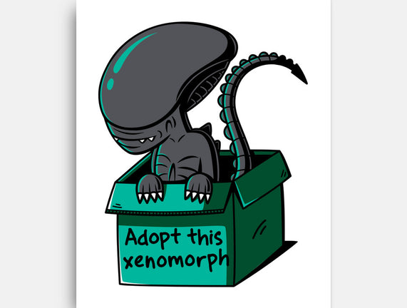 Adopt This Xenomorph