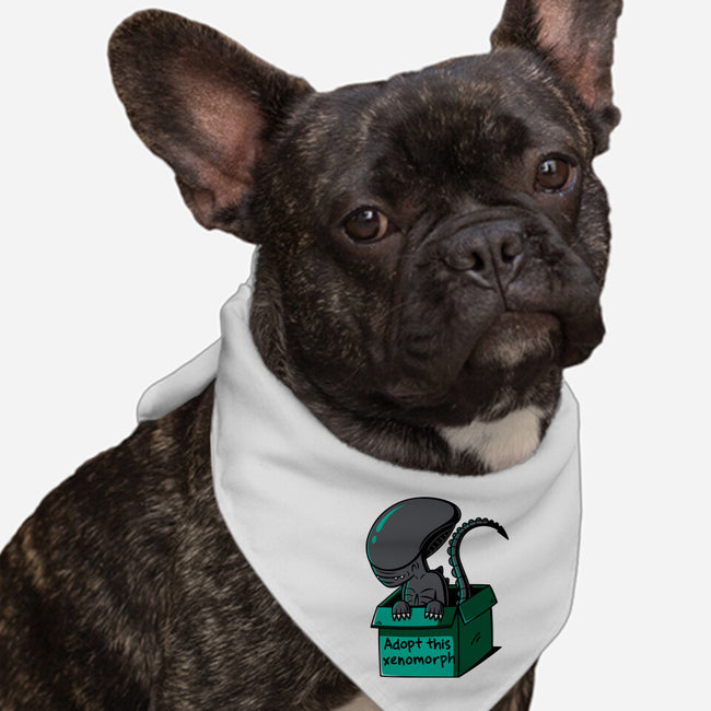 Adopt This Xenomorph-Dog-Bandana-Pet Collar-Eilex Design