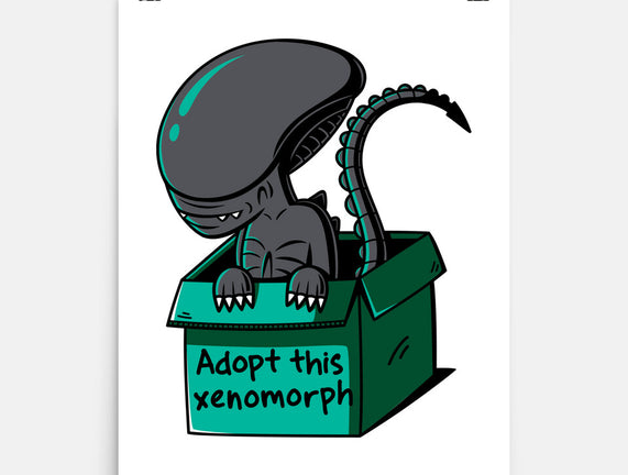 Adopt This Xenomorph