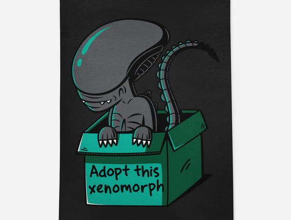 Adopt This Xenomorph