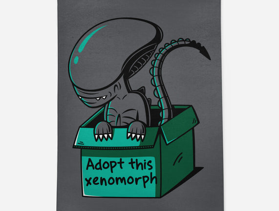 Adopt This Xenomorph