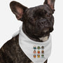 Tea Types-Dog-Bandana-Pet Collar-Vallina84
