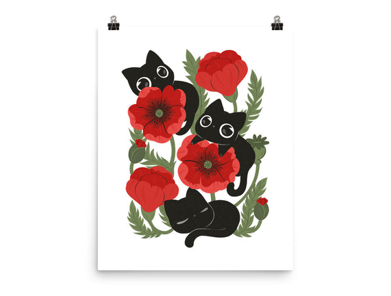 Poppies And Black Kitties