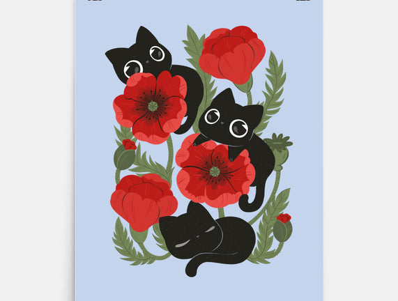 Poppies And Black Kitties