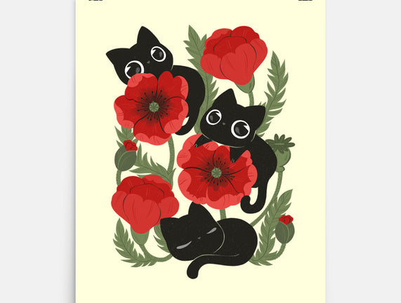 Poppies And Black Kitties