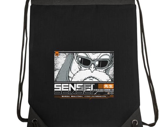 Sensei V4 MRoshi