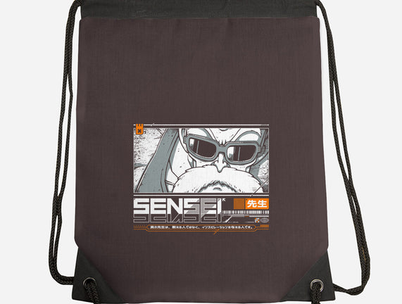 Sensei V4 MRoshi