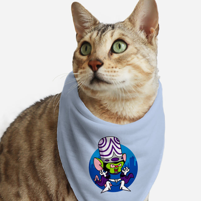 Double Conqueror-Cat-Bandana-Pet Collar-Raffiti