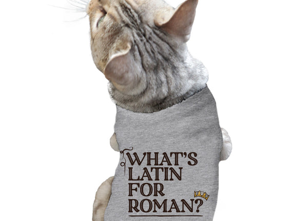 What's Latin For Roman