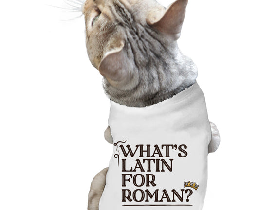 What's Latin For Roman