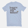 What's Latin For Roman-Mens-Basic-Tee-rocketman_art