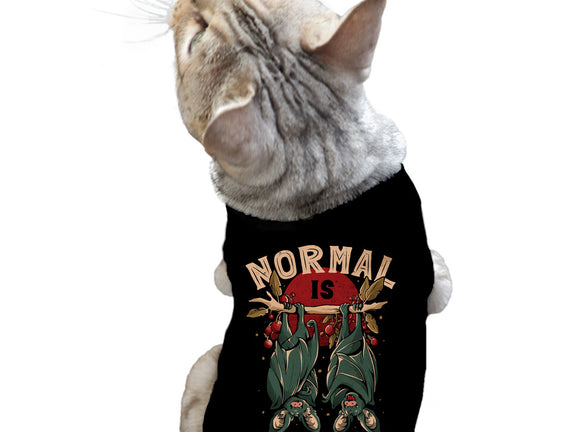 Normal Is Boring