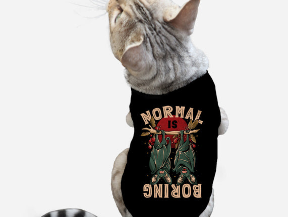 Normal Is Boring