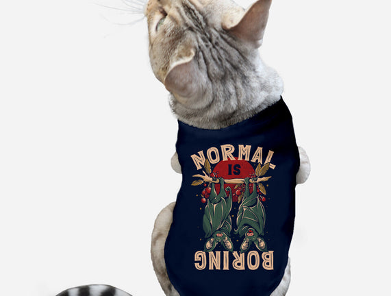 Normal Is Boring