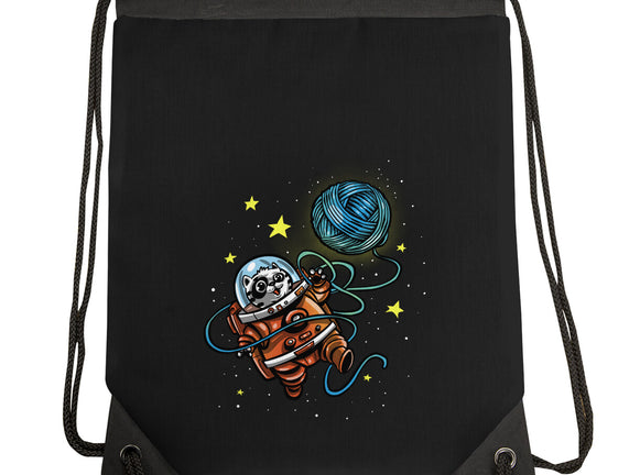 AstroCat