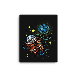 AstroCat