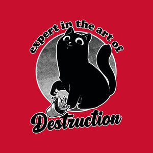Expert In Destruction