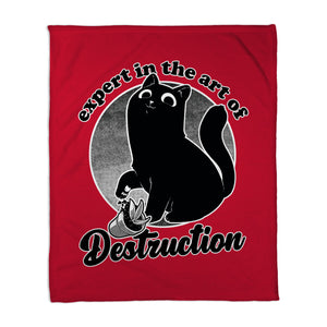 Expert In Destruction