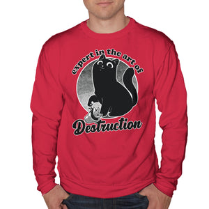Expert In Destruction