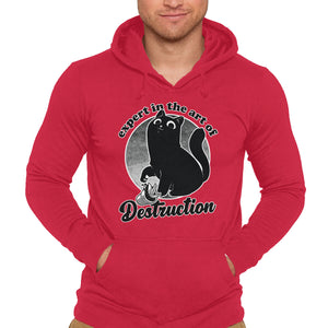 Expert In Destruction