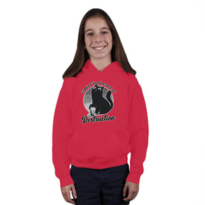 Expert In Destruction