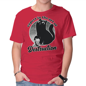 Expert In Destruction