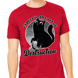 Expert In Destruction