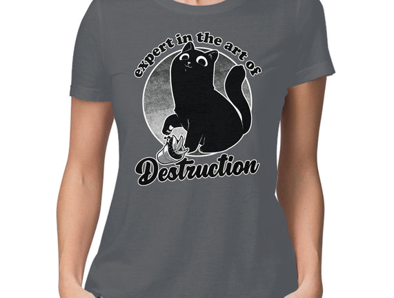 Expert In Destruction