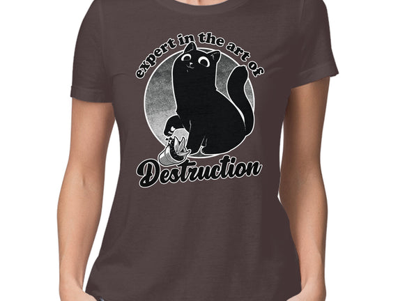 Expert In Destruction