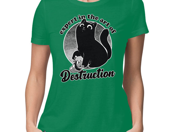 Expert In Destruction