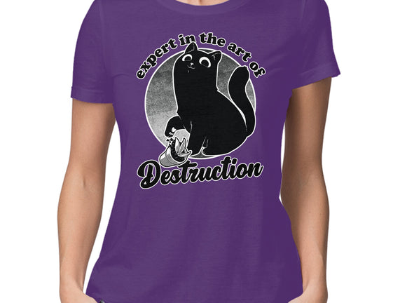 Expert In Destruction