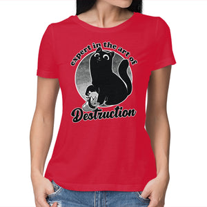 Expert In Destruction