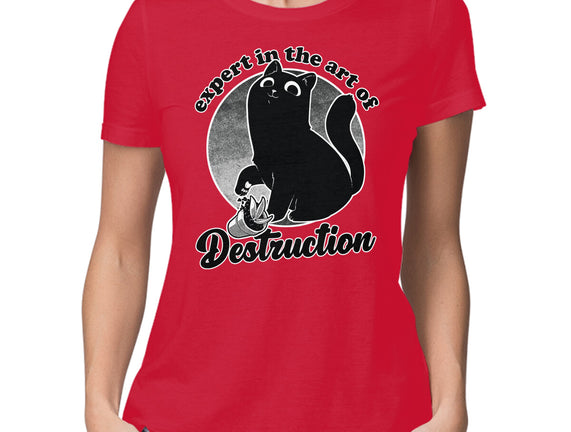 Expert In Destruction