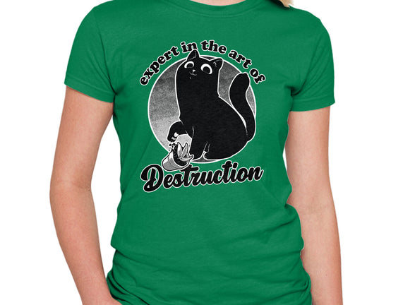 Expert In Destruction