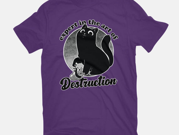 Expert In Destruction