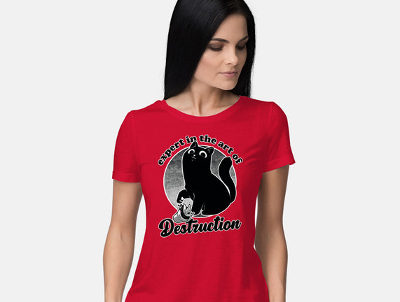 Expert In Destruction