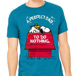 A Perfect Day