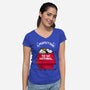 A Perfect Day-Womens-V-Neck-Tee-erion_designs