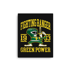 Fighting Ranger