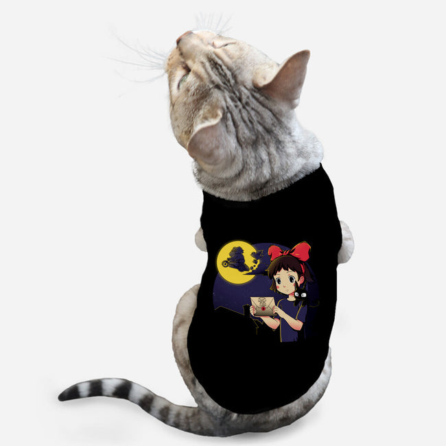 You Have Been Accepted-cat basic pet tank-Coinbox Tees