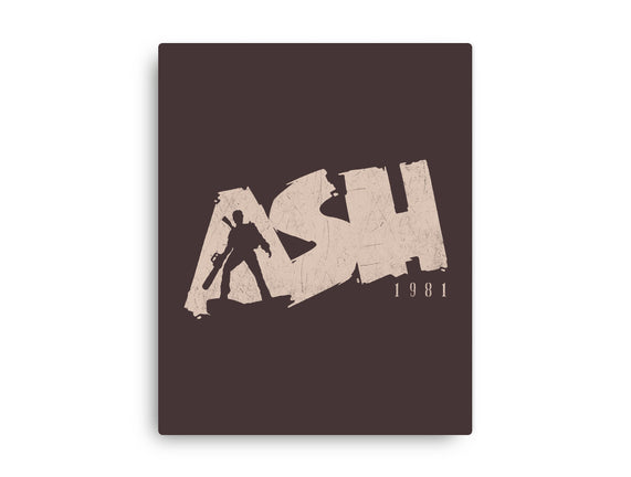 Ash 1981