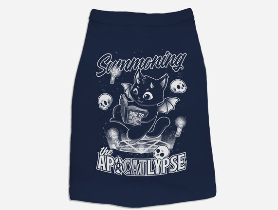 Summoning The Apocalypse Cat