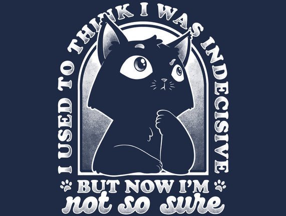Indecisive Cat
