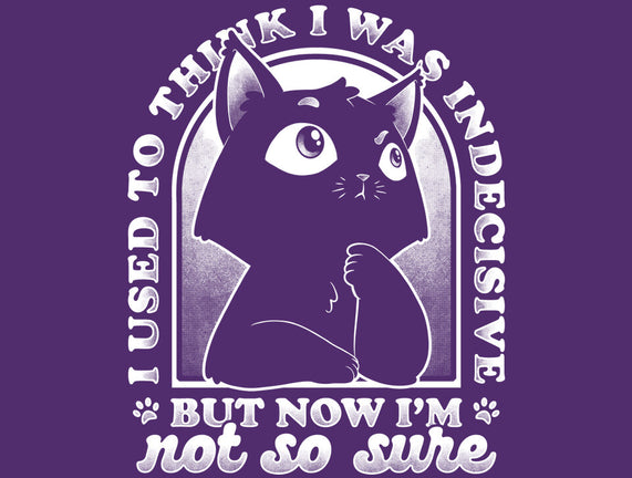 Indecisive Cat