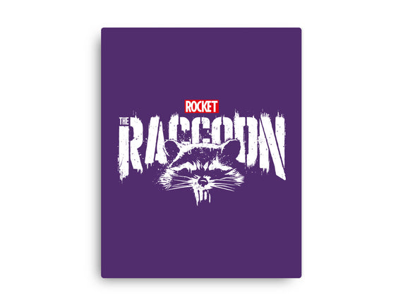 Raccoonisher